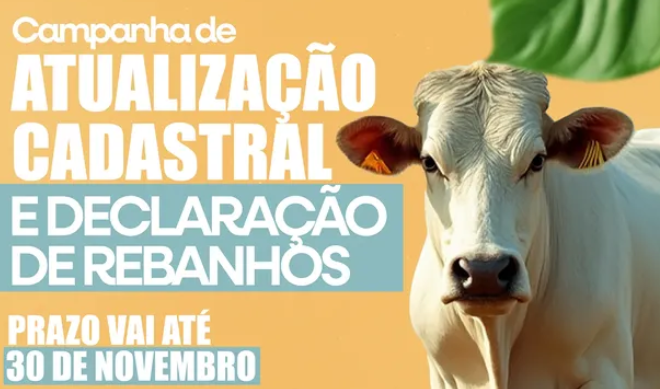 Screenshot 2025-11-17 164118